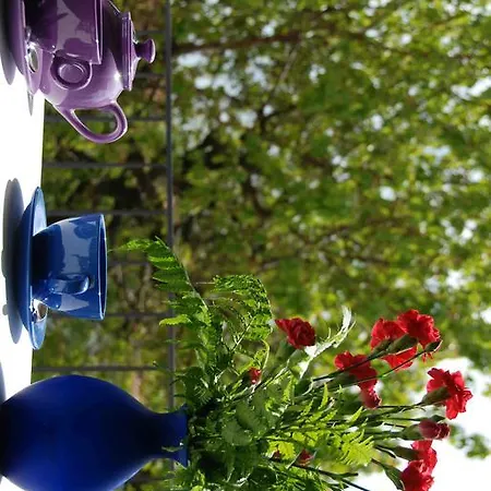 Bed & Breakfast La Casa Di Trizzi Como